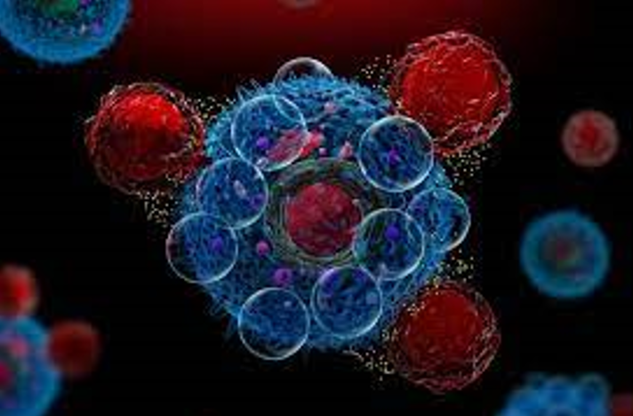 اثرگذاری فاکتورهای پیش از تزریق بر ایمونوفنوتیپ عود به دنبال سلول‌های CD19 CAR T 